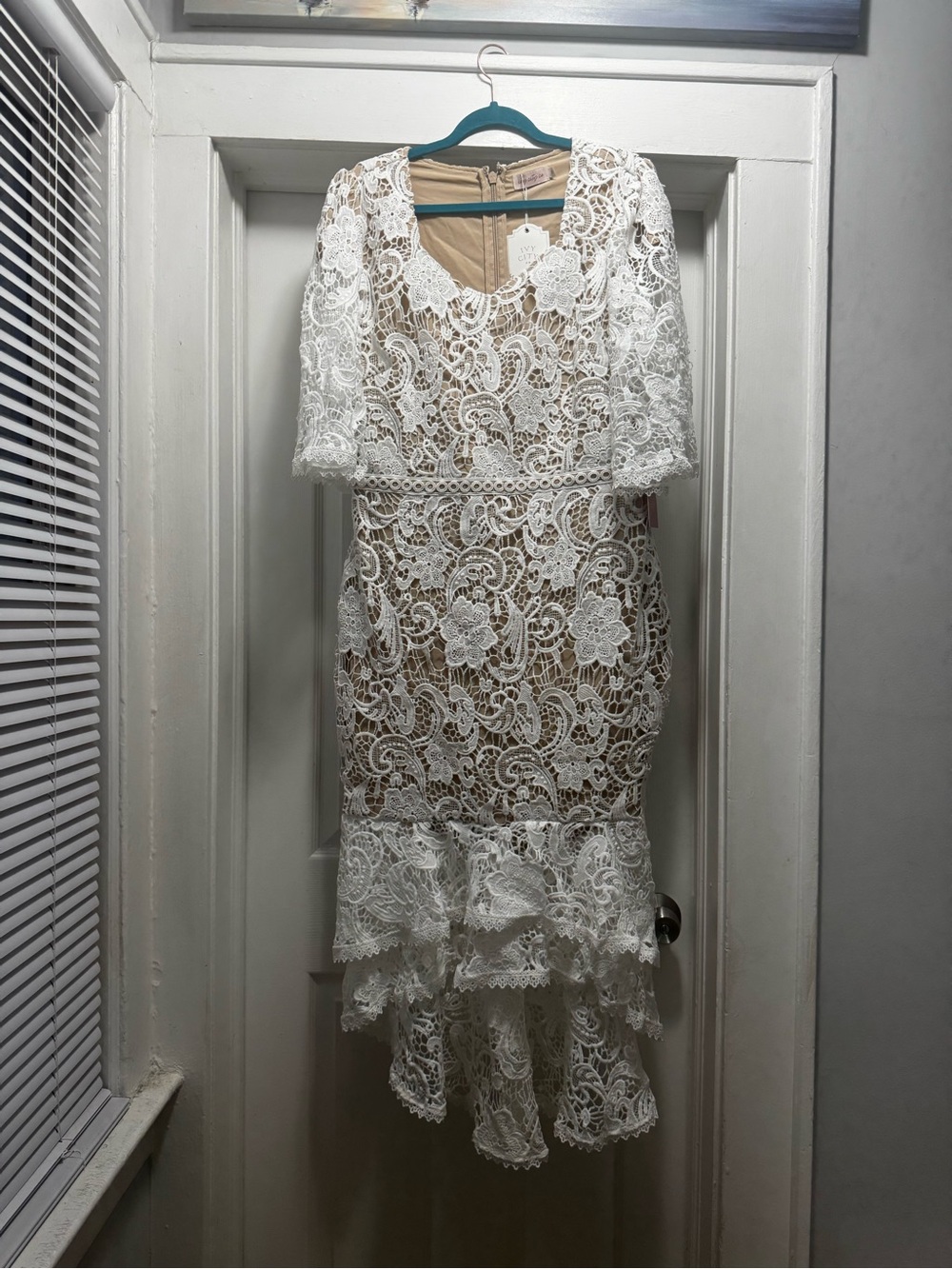 Ivy City Co Cecilia Dress in White Lace